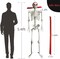 5.4Ft Halloween Skeleton,Life Size Skeleton Halloween Decor Full Body Skeleton with Movable Joints Posable Skeletons Halloween Decorations Large Skeleton Haunted Props Indoor Outdoor